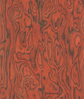7209